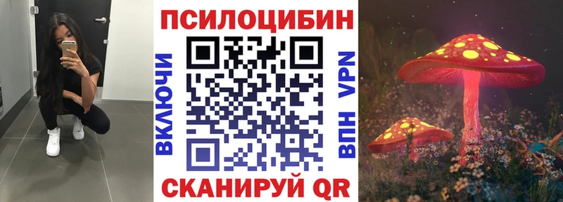 закладка Фатеж Псилоцибиновые грибы Magic Shrooms